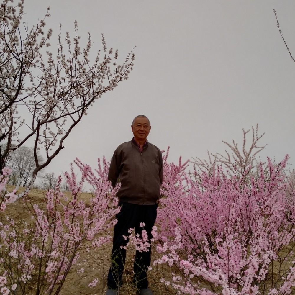 超短裙挽手传统的照片