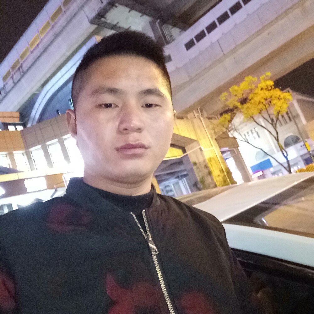 哈密瓜回首阳光的照片