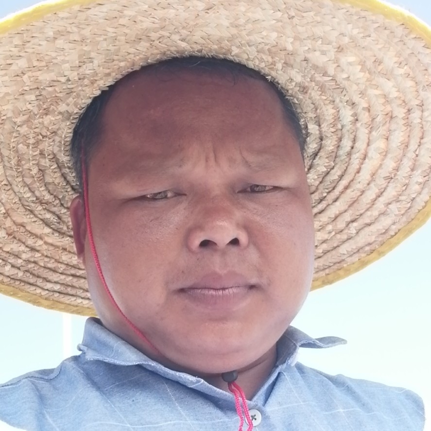 一个样子的照片