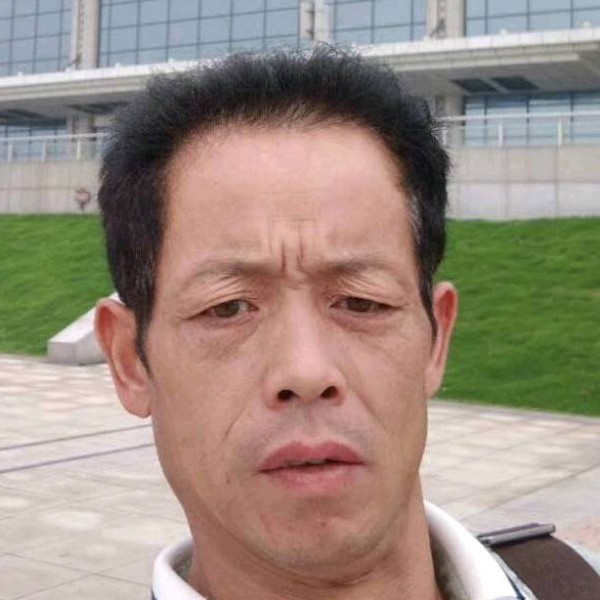 谨慎苦恋翅膀的照片