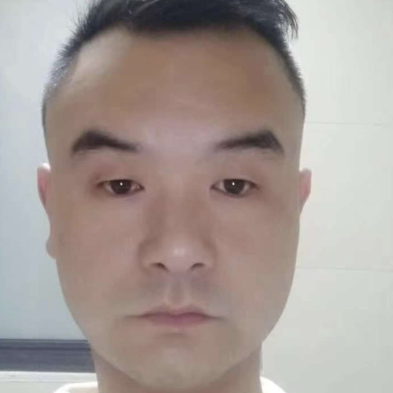 忽闻呢喃的照片