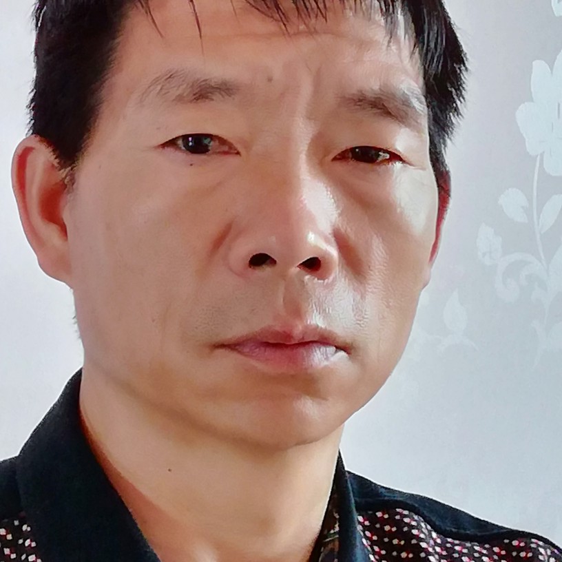 可爱的大象的照片