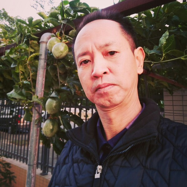 人生如梦如戏的照片