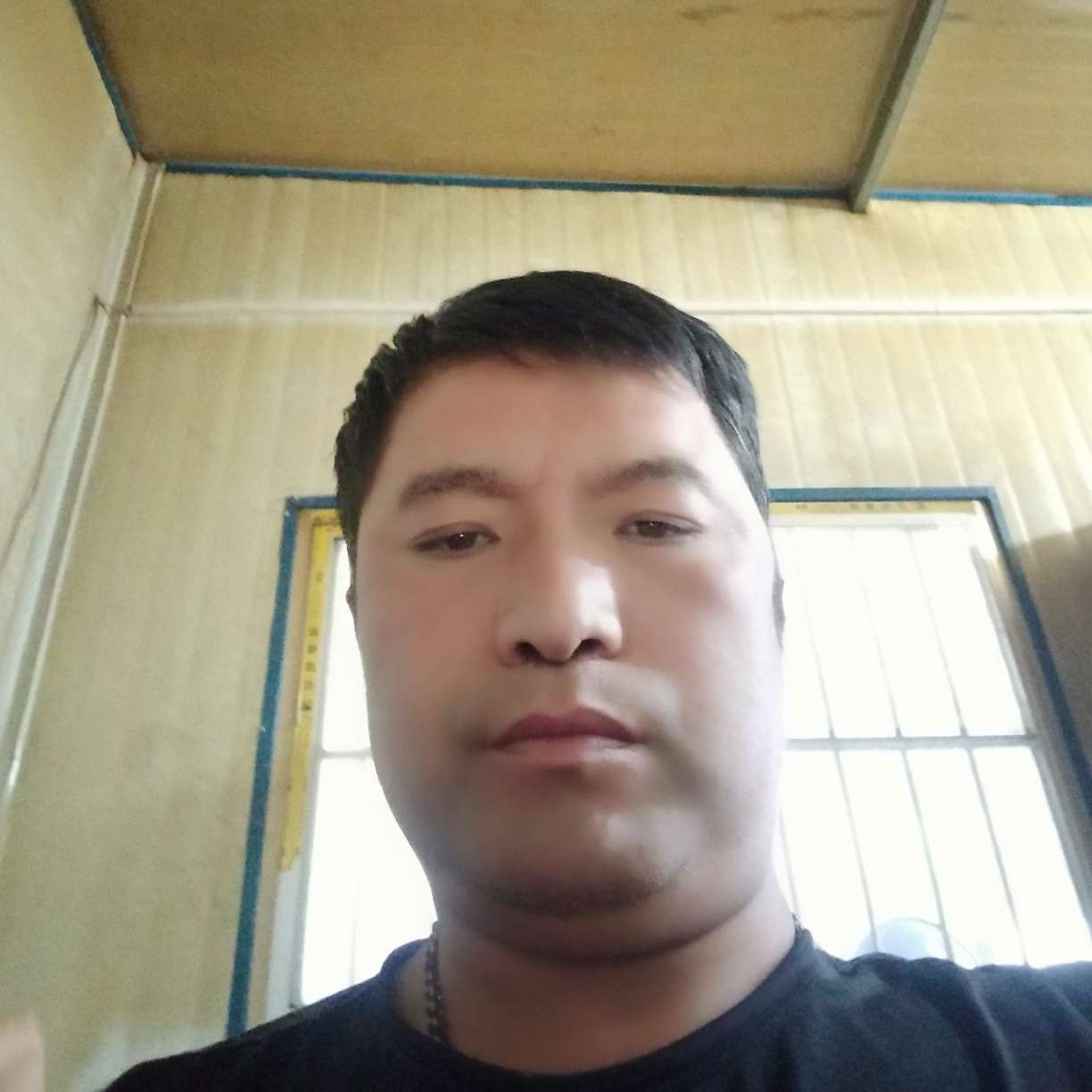相思苦。的照片