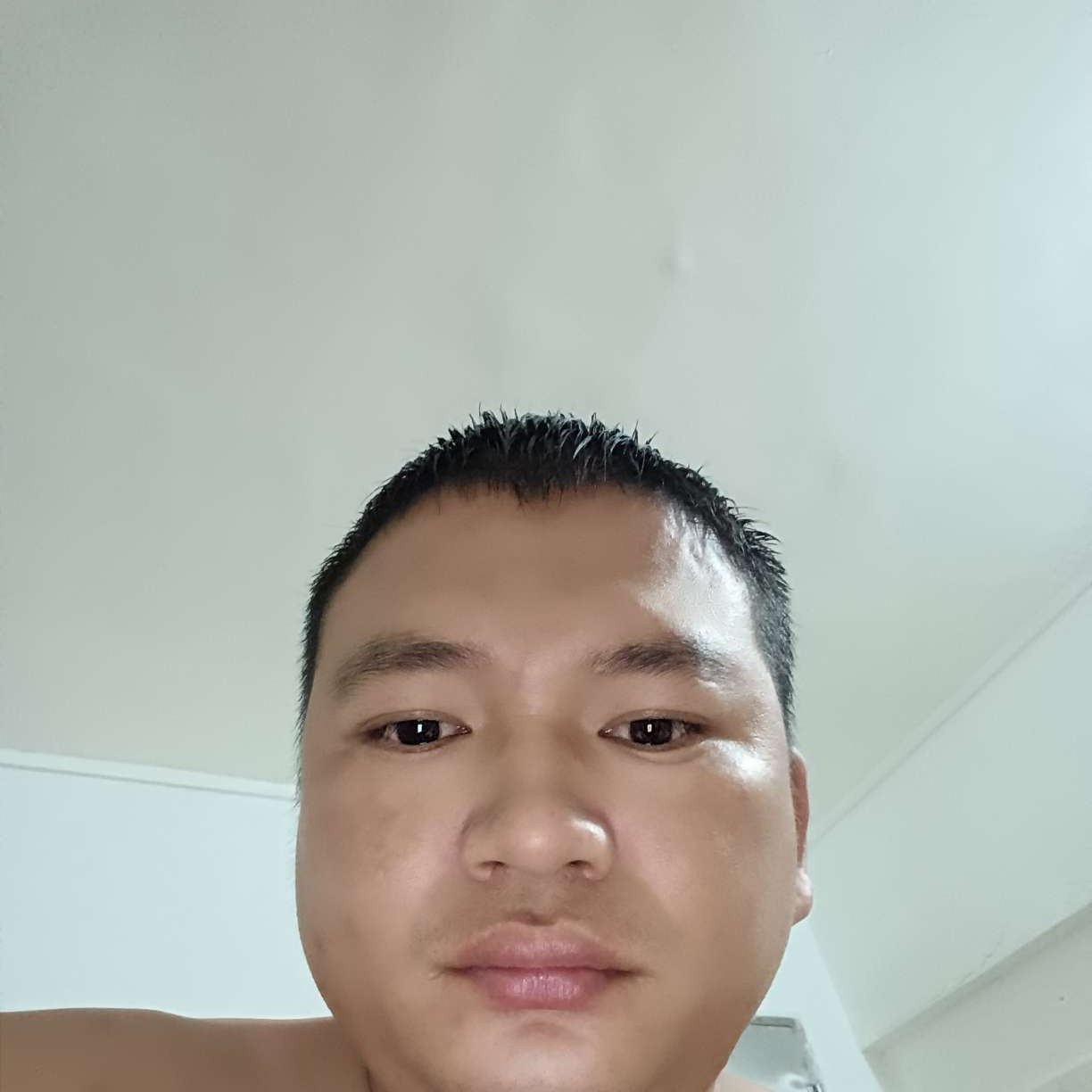 豆芽迎现代的照片