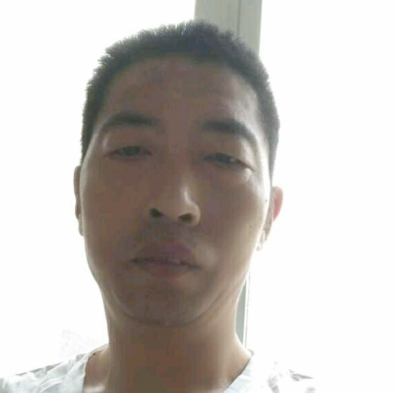 笨笨爱恋歌曲的照片