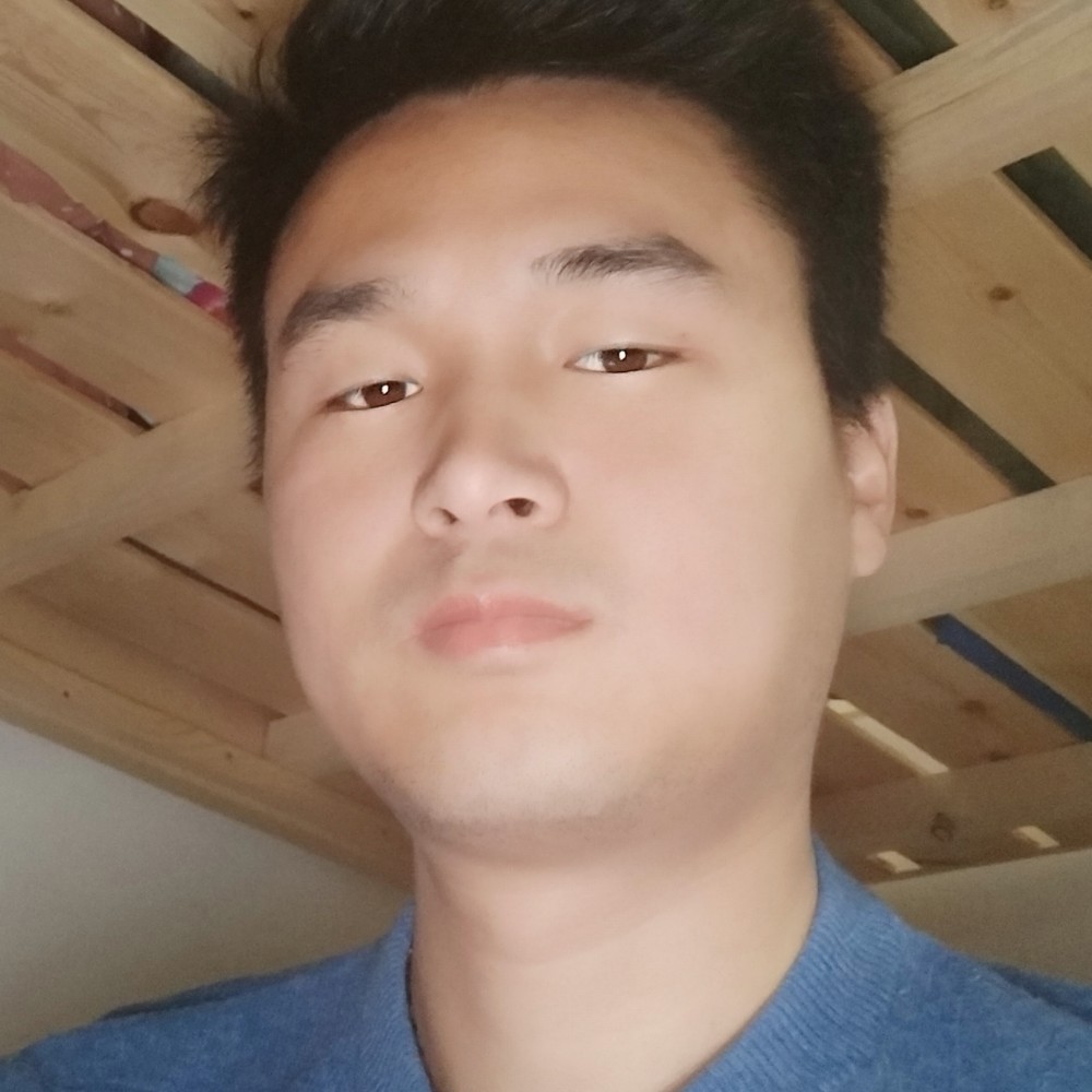 简单的照片