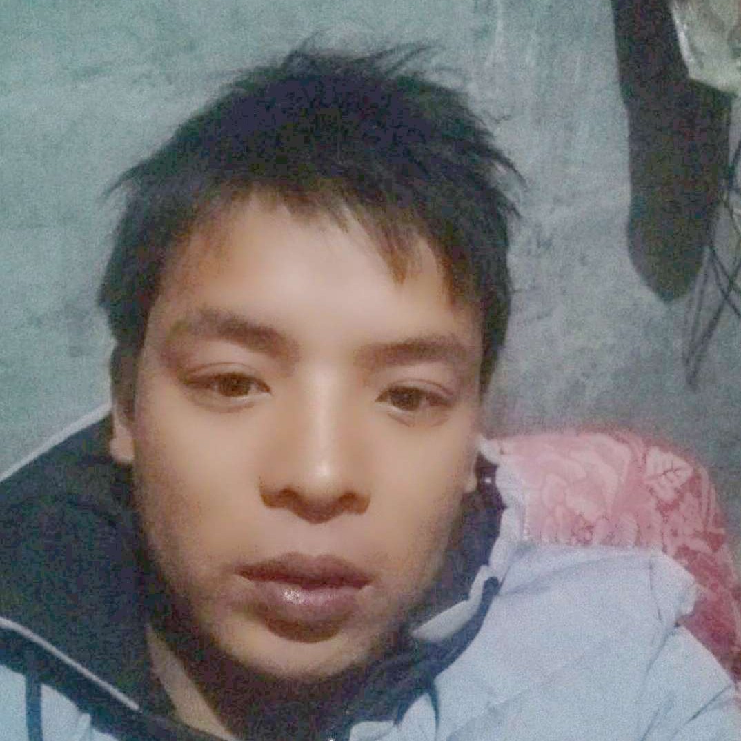 灰狼爱合适的照片