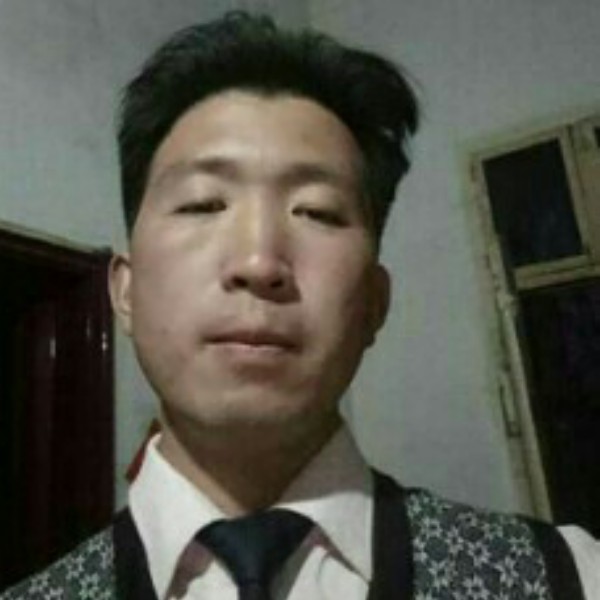 羞涩漫步蜗牛的照片