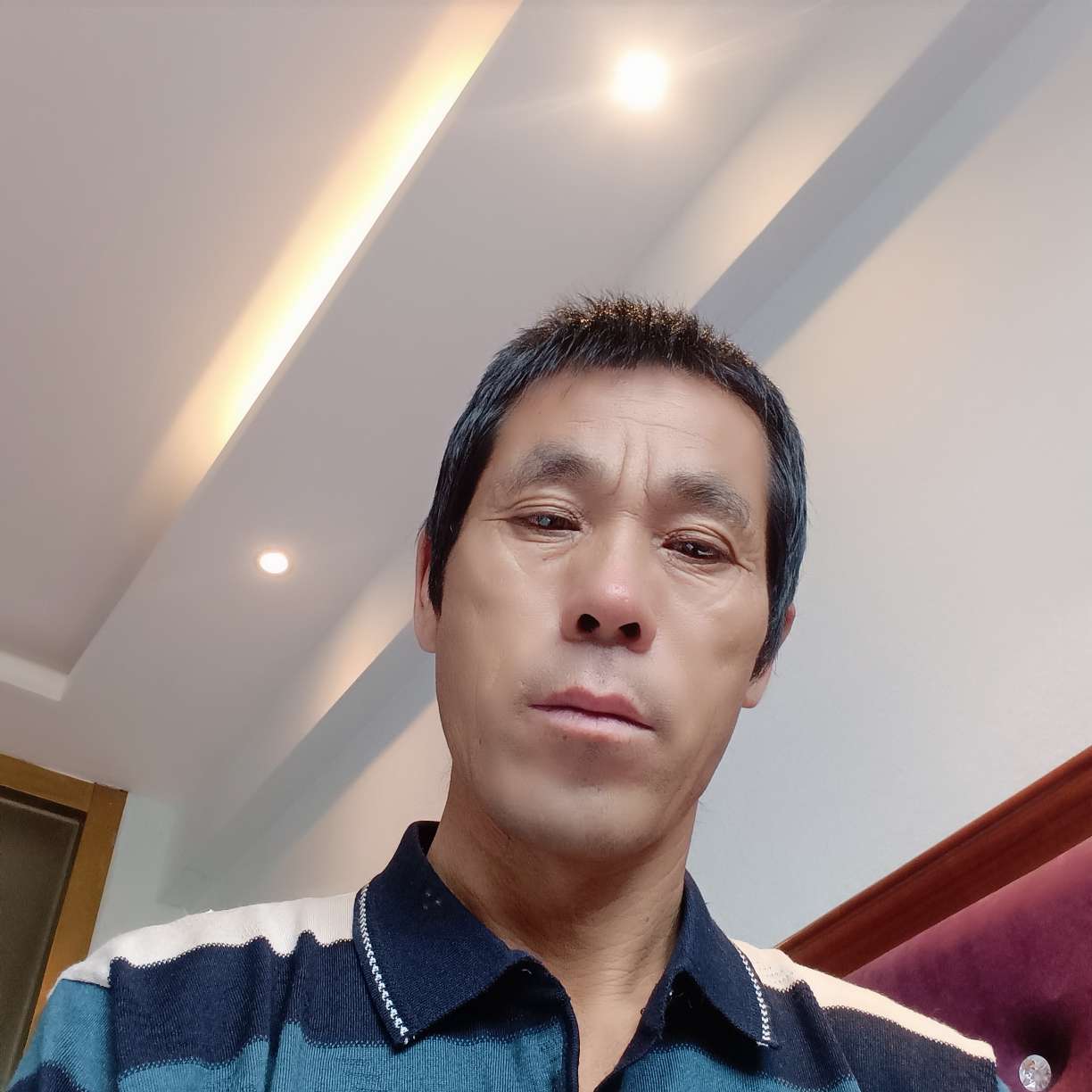 猫咪闻魁梧的照片