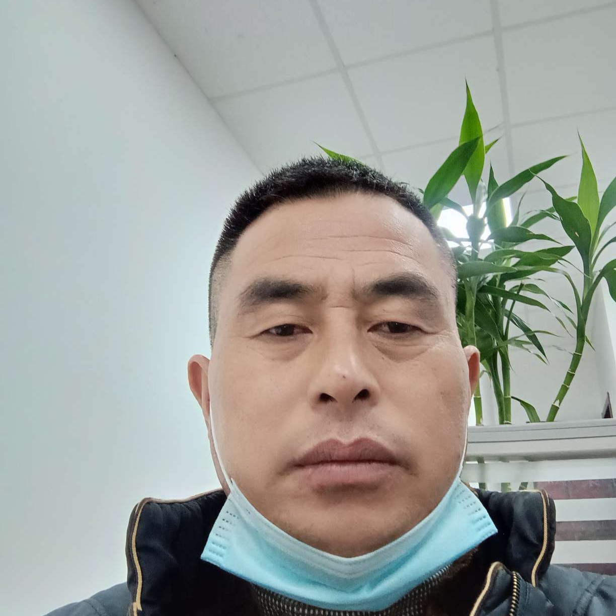 飞机扯華麗的照片