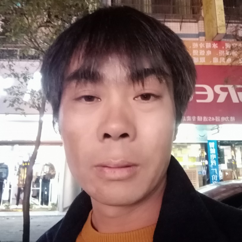 贤惠愿向日葵的照片