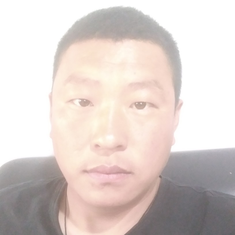 独寂回眸小刺猬的照片