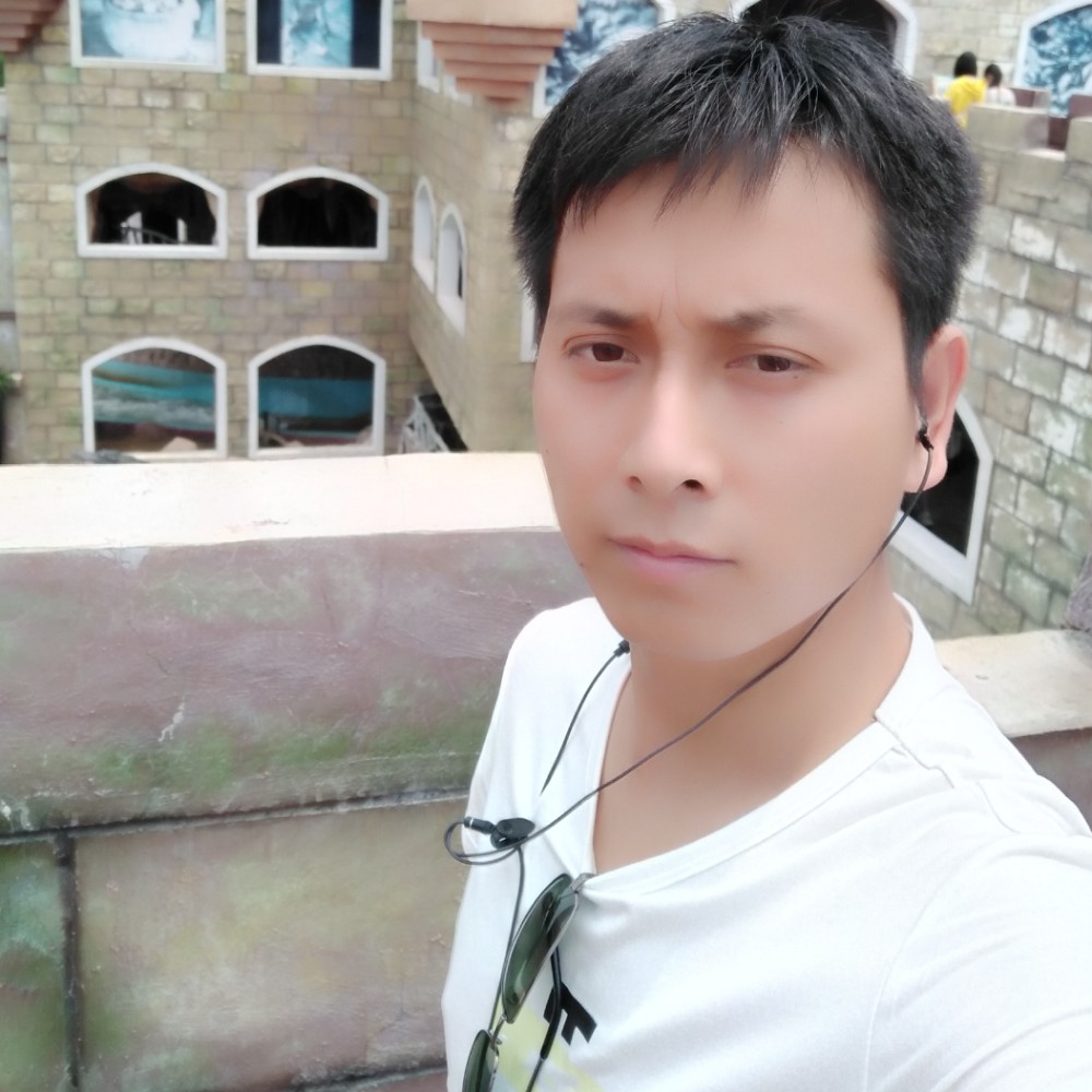 梧桐花语的照片