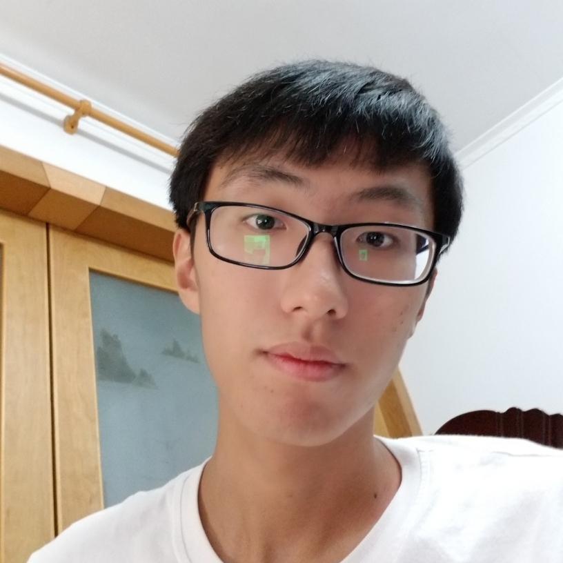 小灰灰辉辉的照片