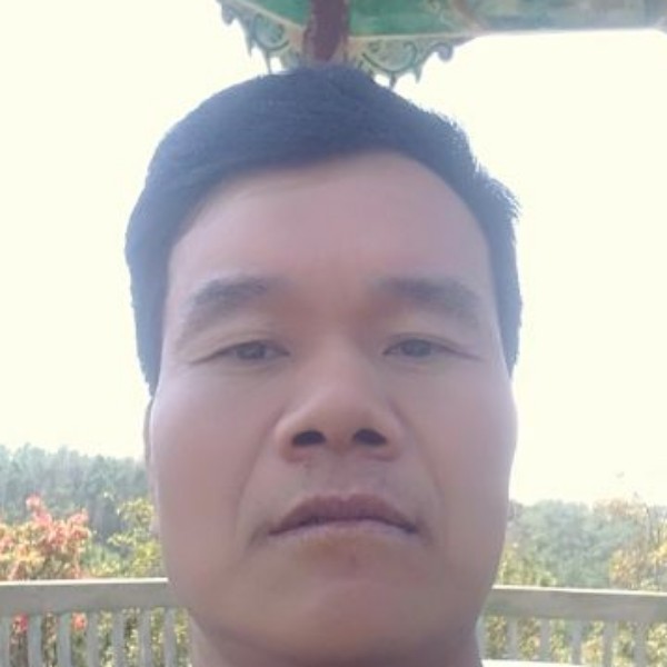 踏实深拥豌豆的照片