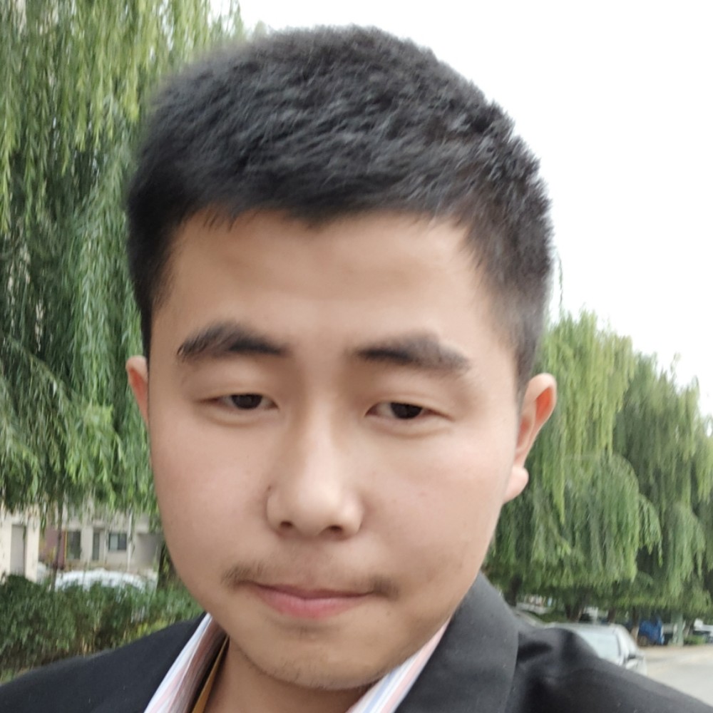 诺言泪了美丽的照片