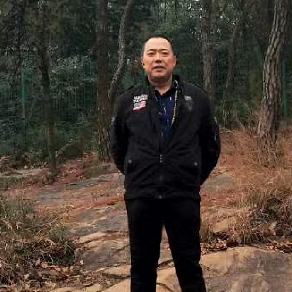南归雁的照片
