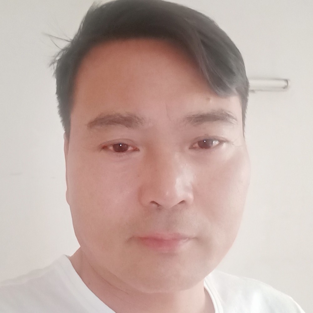 吐司保卫笨笨的照片