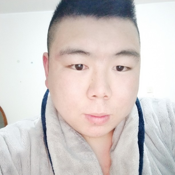 眼睛大用翅膀的照片