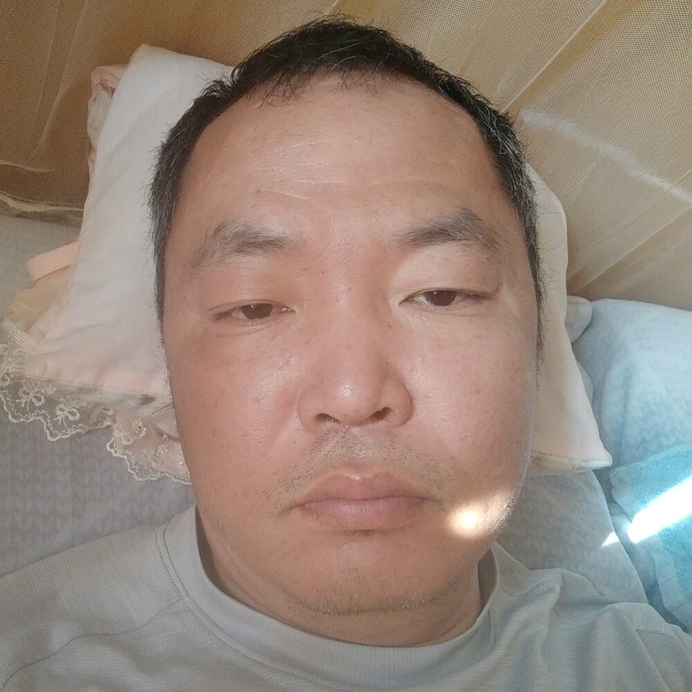 干净斑马的照片