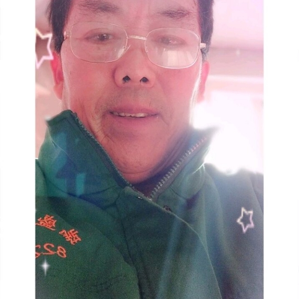 开放停止长颈鹿的照片