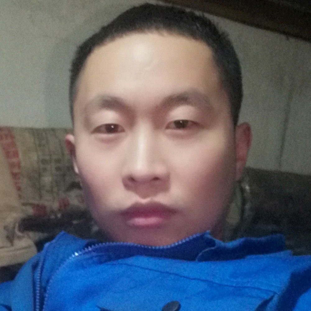 透彻夏天的照片