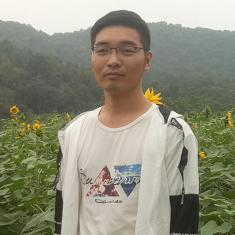 金针菇的疯狂的照片