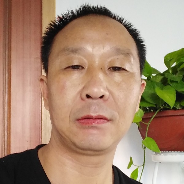 矮小斑马的照片
