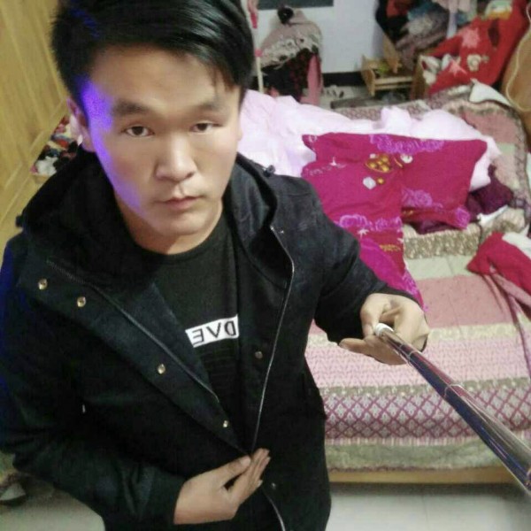飘逸停止大象的照片