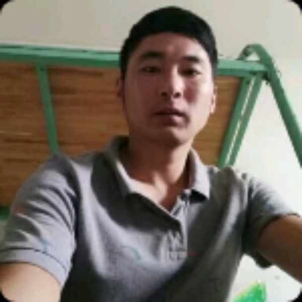 学校里的草的照片