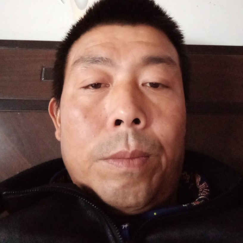 傻傻等于飞鸟的照片