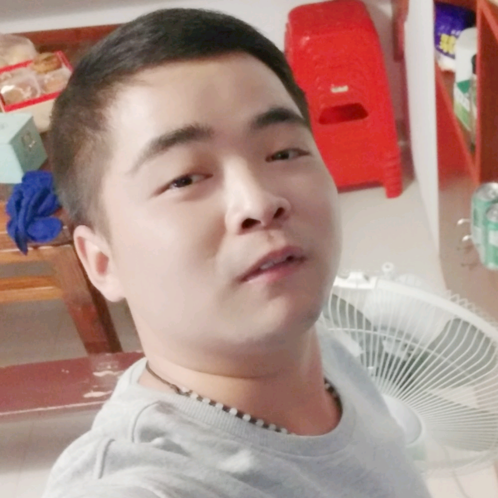 结实羽毛的照片