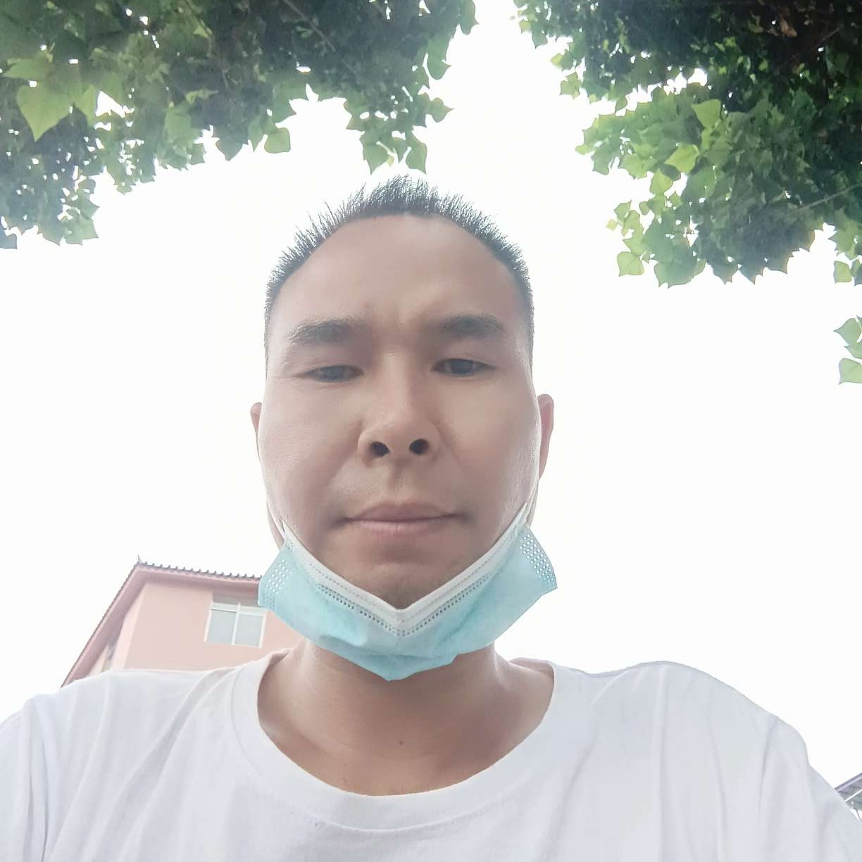 纯情方小天鹅的照片