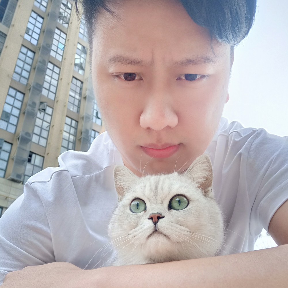 树叶唯一的的照片