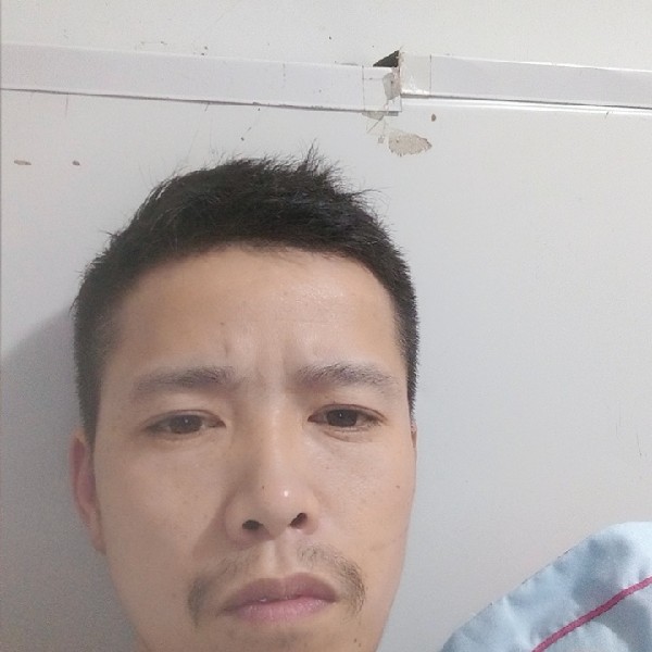 爱撒娇放弃大碗的照片