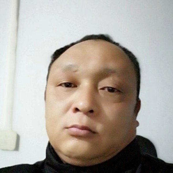 猫咪不解的的照片