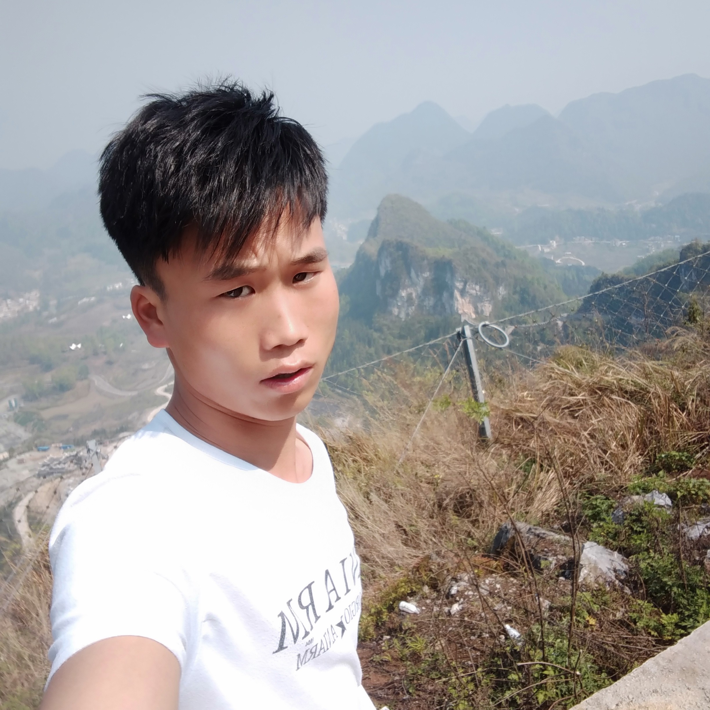 迅速倾心奇异果的照片