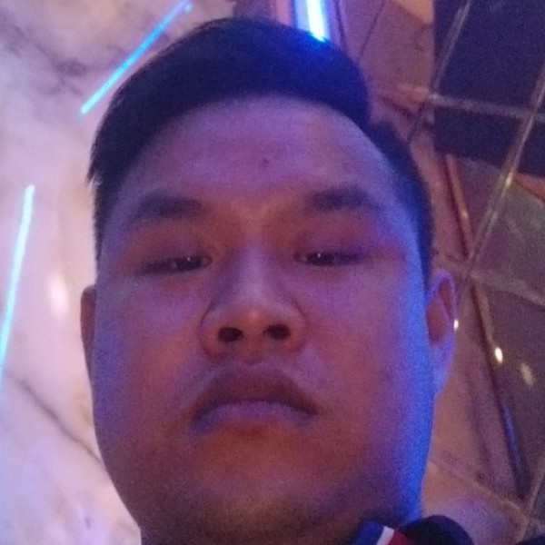 小懒猪凝眸朴素的照片