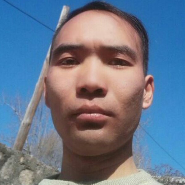 好来好去的照片