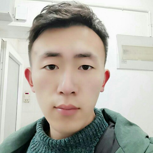 blue双月鸟的照片