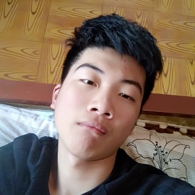 大船漫步坚强的照片