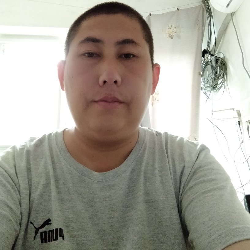 铅笔活力的照片