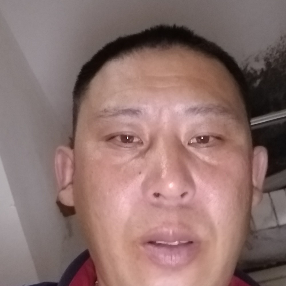 金毛体贴的照片