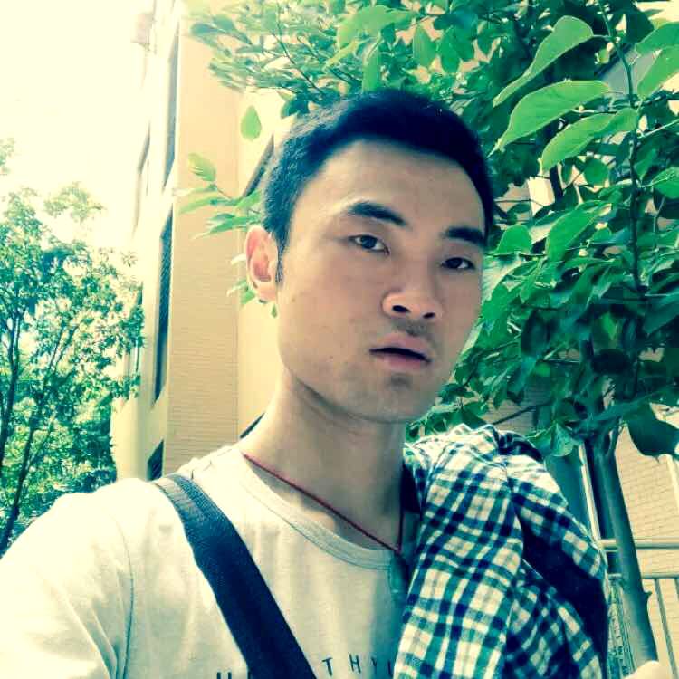 斑马鱼的照片