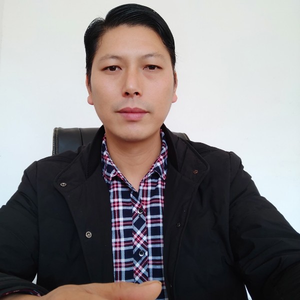 活泼演变金鱼的照片