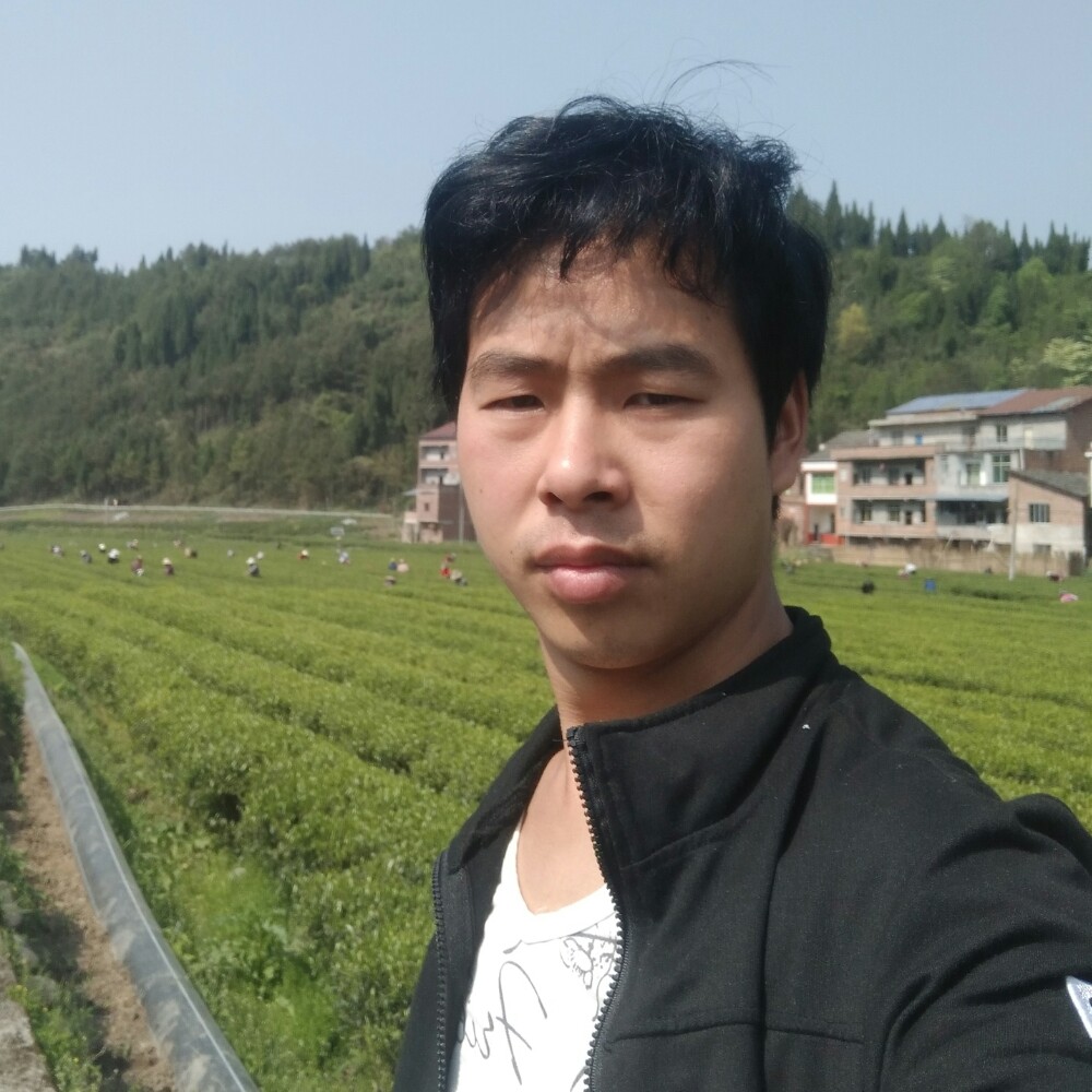 甜蜜缱绻的照片