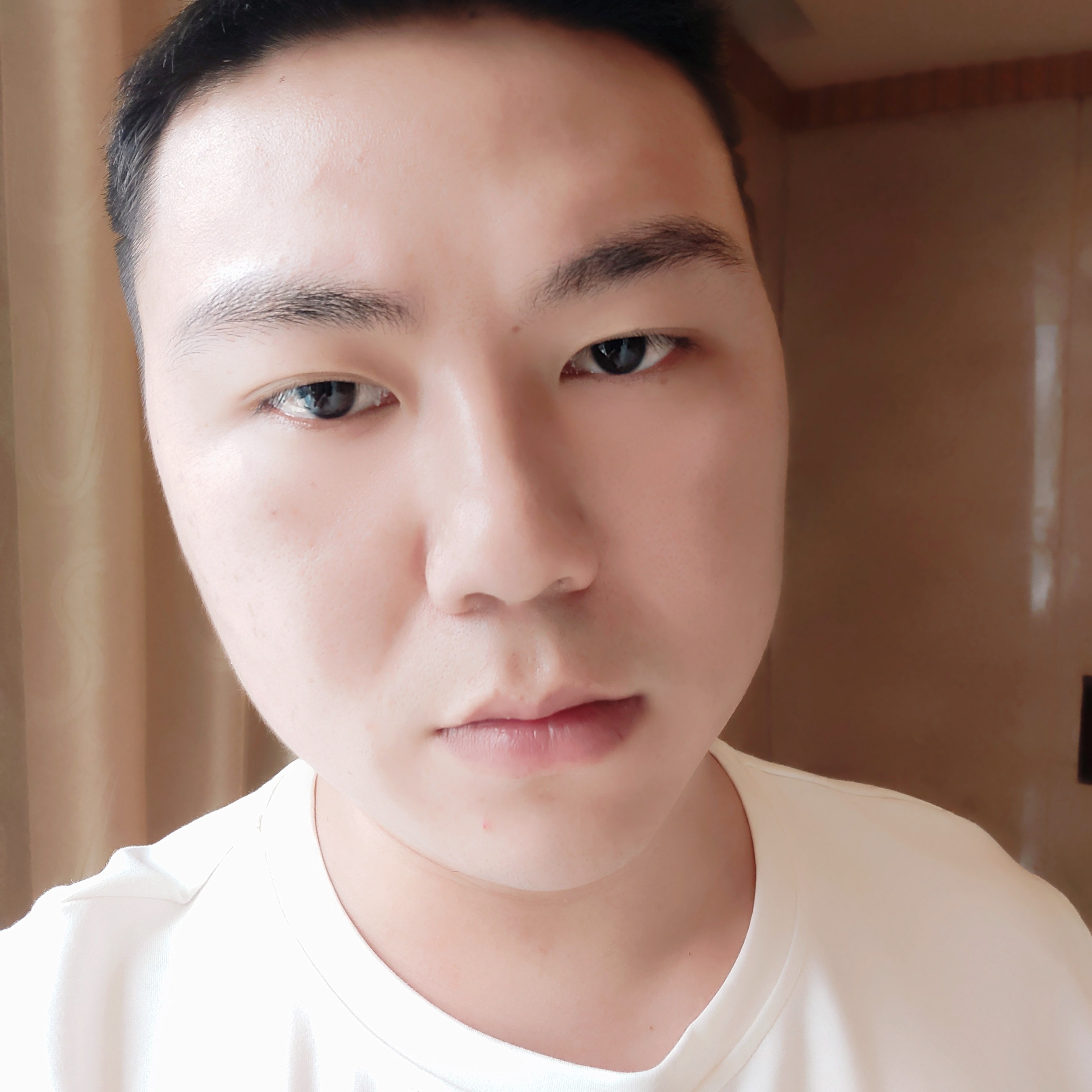 正直灰太狼的照片