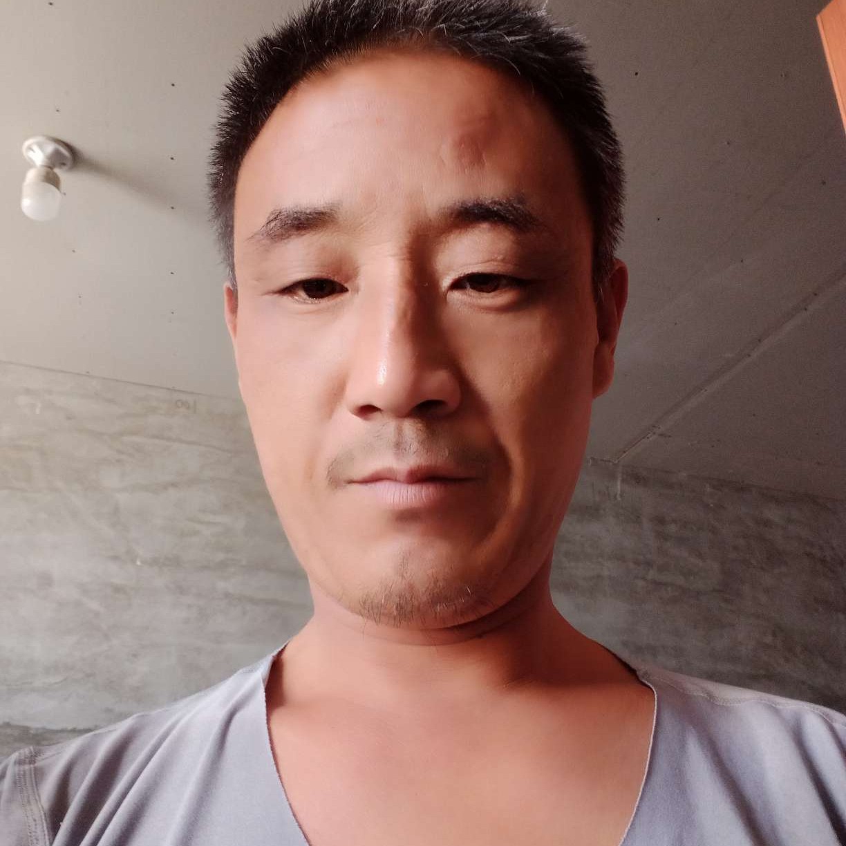 淡淡多么小猫咪的照片