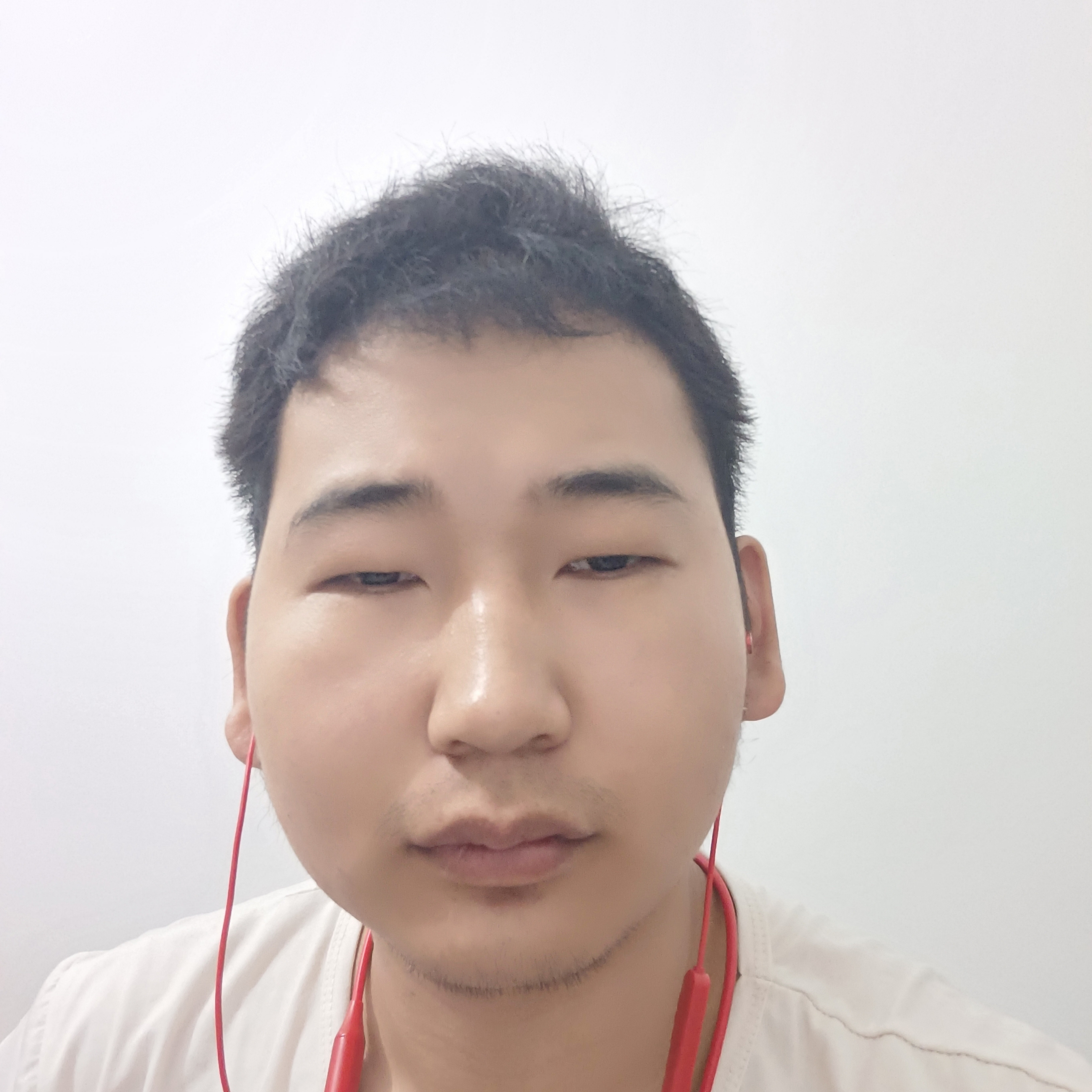 懒懒谈的照片